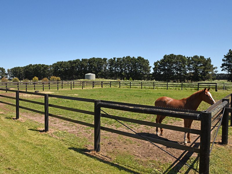 HorseRail yard 30m x 30m