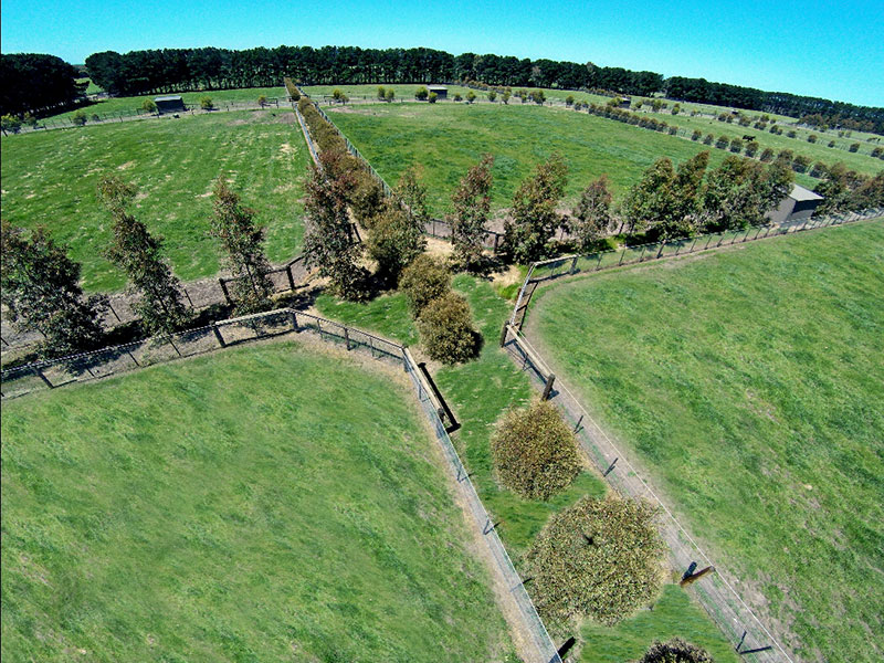 Double fencing every paddock. We have 35 paddocks varing in size from 1 acre to 10 acres.